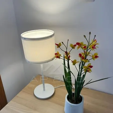 Apartment 5 Square *